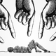 Illustration for article titled Why Humiliation Is the Most Intense Human Emotion